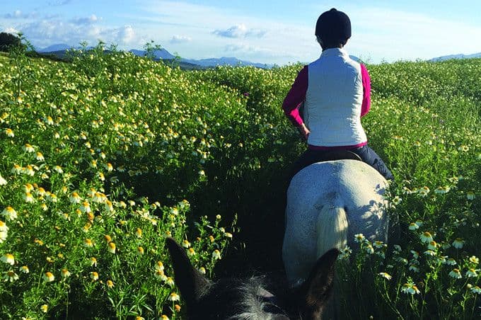 Sotogrande horse riding