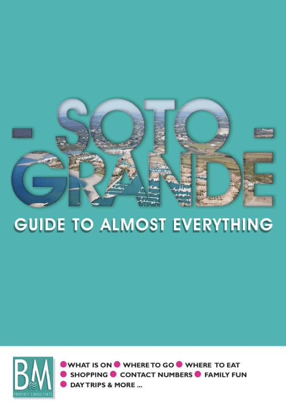 Guía | 2019 cover